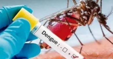डेंगू का डंक! मरीजों की संख्या पहुँची 229, हर वार्ड में हाई अलर्ट